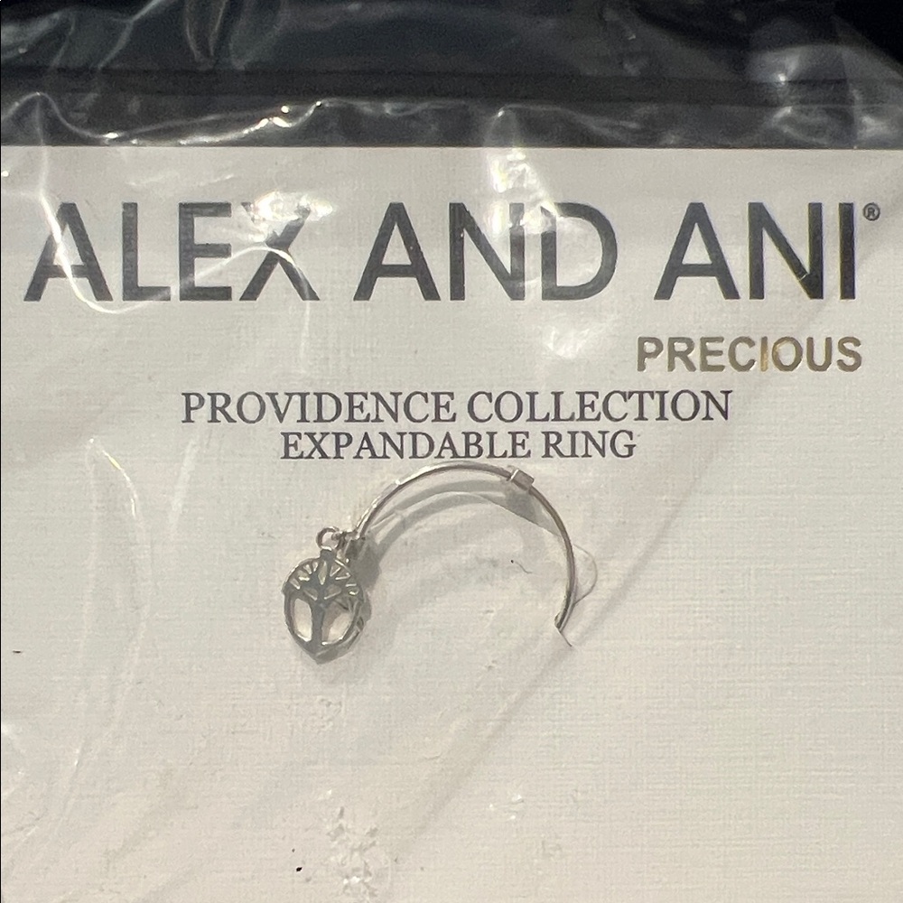 Alex and Ani Silver Ring - expandable